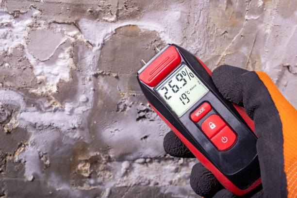 Best Residential Mold Removal  in Edmonston, MD