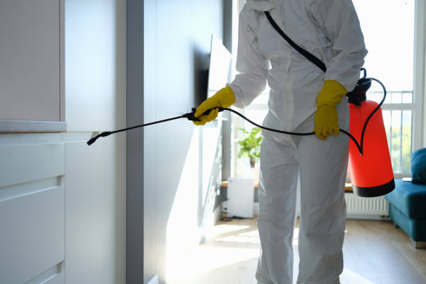 Certified Mold Removal in Edmonston, MD